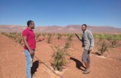 Grow Trees and Offset Carbon with African Farmers