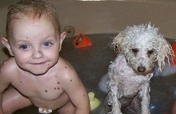 Help America's Forsaken Foster Care Children!