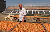 New Income Opportunities for vulnerable Armenians