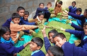 RID POVERTY & HUNGER IN 50 INDIAN TRIBAL VILLAGES